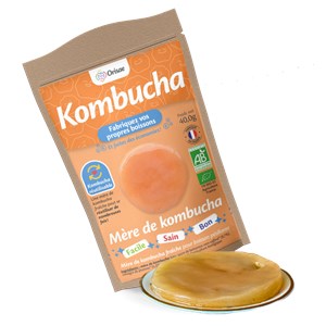 Mère de kombucha bio avec starter