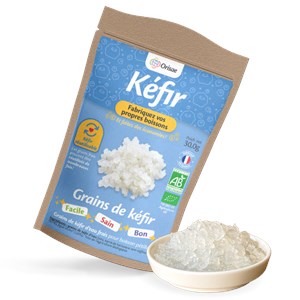 Grains de kéfir de fruit frais bio