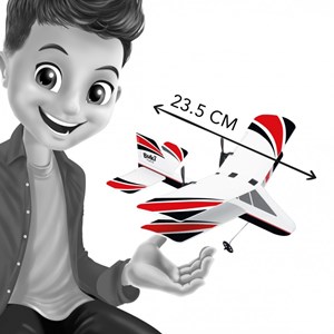 Avion radiocommandé