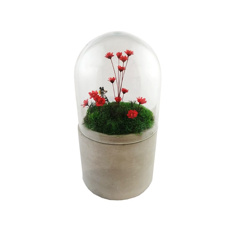 Naturalys - Mini jardin sous cloche fleurs rouges