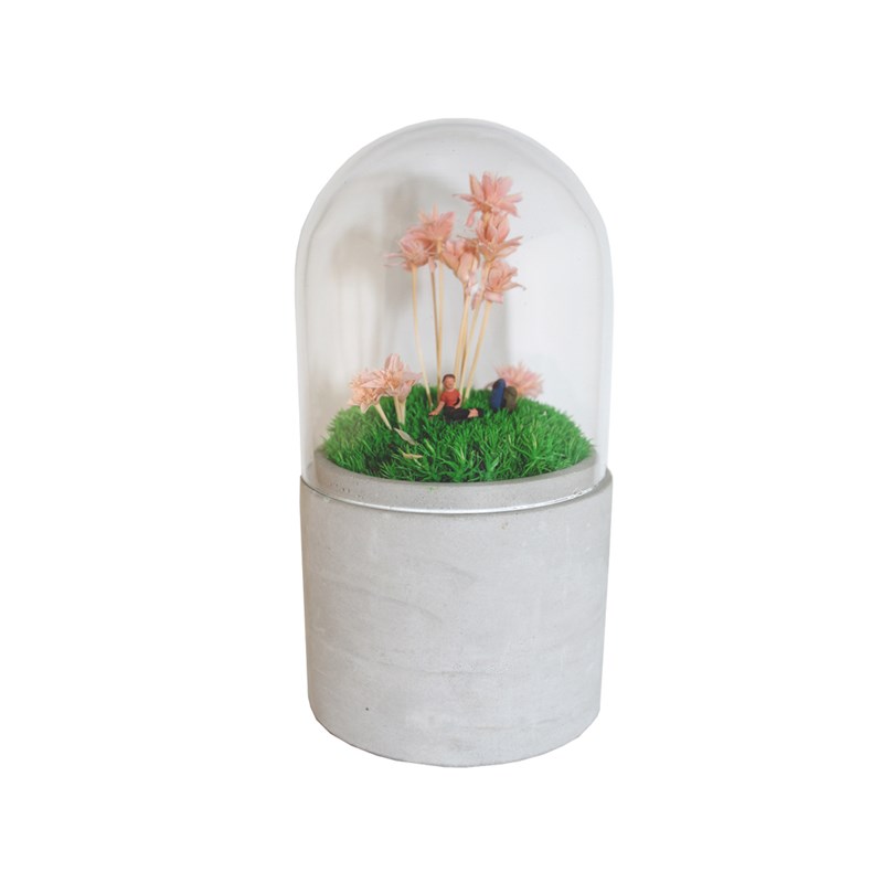 Mini jardin sous cloche fleurs roses