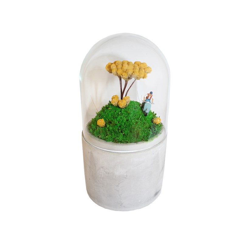 Naturalys - Mini jardin sous cloche fleurs jaunes