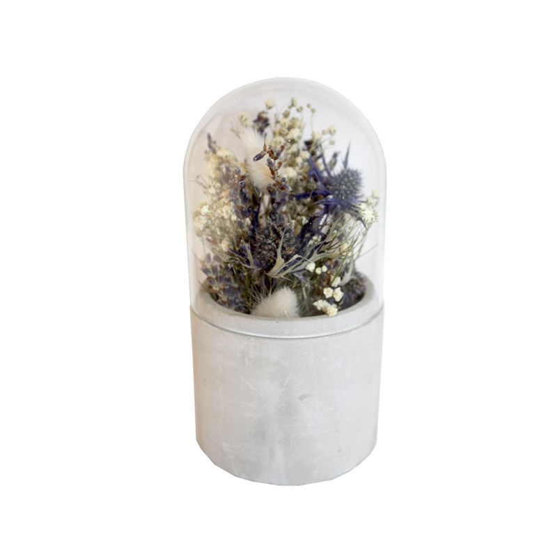 Naturalys - Cloche de fleurs séchées bleu