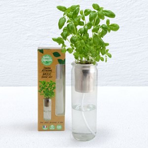 Jardin autonome basilic grand vert bio