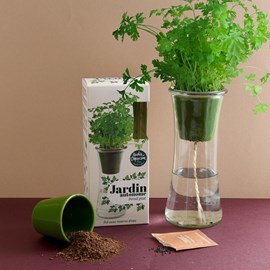 Jardin autonome : persil - bio