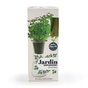 Jardin autonome : persil - bio