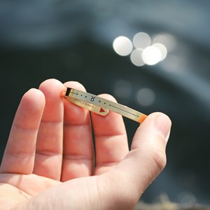 Bracelet homme jonc - zodiaque taureau