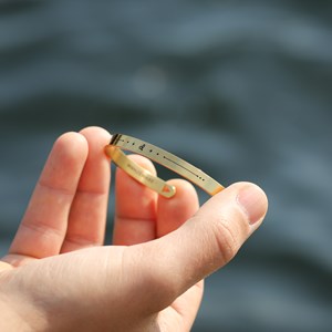 Bracelet zodiaque homme lion jonc astro