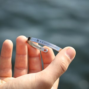 Bracelet homme jonc - zodiaque vierge