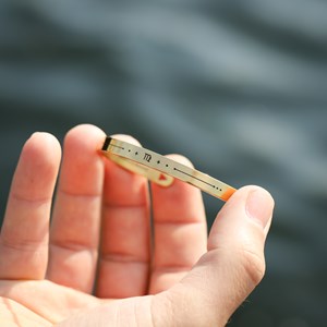 Bracelet homme jonc - zodiaque vierge