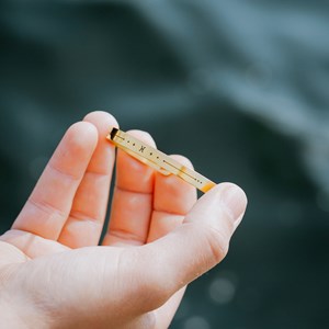 Bracelet homme - jonc zodiaque poissons