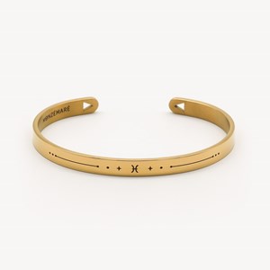 Bracelet homme - jonc zodiaque poissons