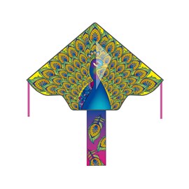 Cerf-volant delta paon monofil enfant