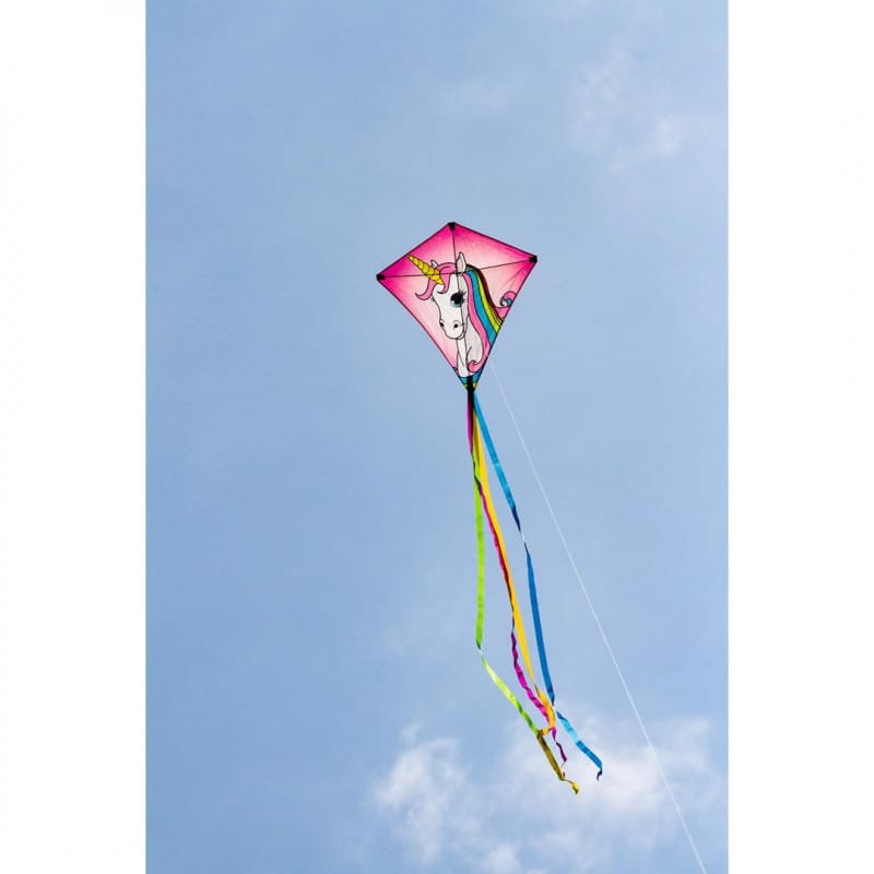 Cerf volant pour enfant Licorne multicolore, prêt à voler idéal débutant  neuf 8713836042411 
