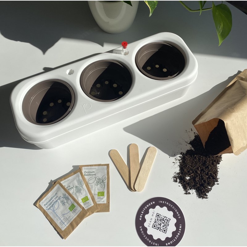 The Urban Permaculture - Kit potager urbain bio - 3 basilics