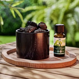 Duo diffuseur passif et eucalyptus bio