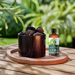 Duo diffuseur passif et eucalyptus