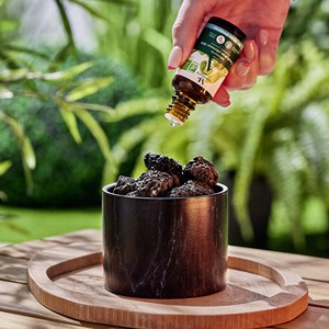 Duo diffuseur passif et eucalyptus bio