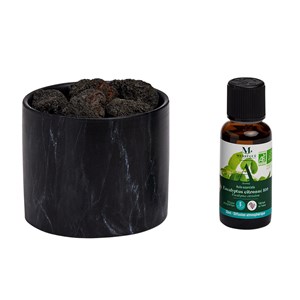 Duo diffuseur passif et eucalyptus bio