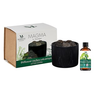 Duo diffuseur passif et eucalyptus bio