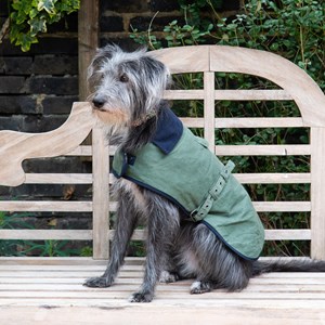 Manteau s pour chien w. Morris
