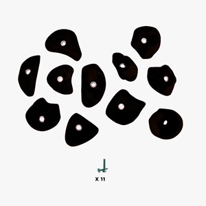 11 prises escalade - snow s