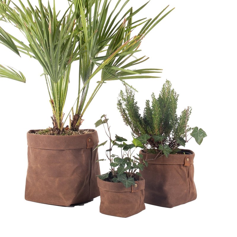 Alaskan Maker - Set de 3 caches pot planter havane