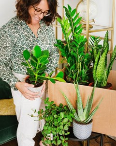 Coffret de plantes easycare
