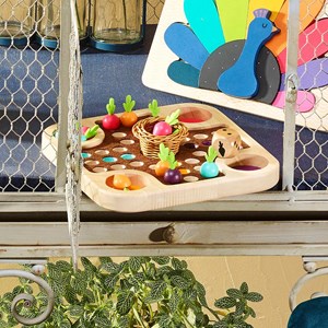 La course du potager jour de récolte