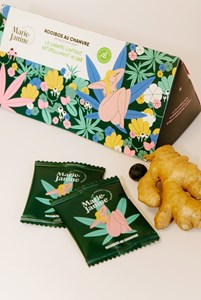 Infusion rooibos bio au cbd en sachets