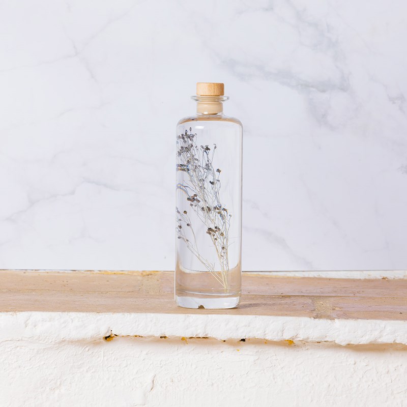 Plante le bloom Nature & Découvertes