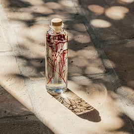 Plante immergée broom bloom rouge h21