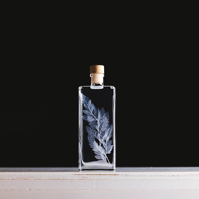 Théophile berthon 1867 - Plante immergée fougère cuir blanche h17