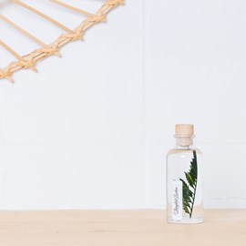 Plante immergée fougère cuir verte h12