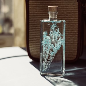 Plante immergée broom bleu turquoise h17