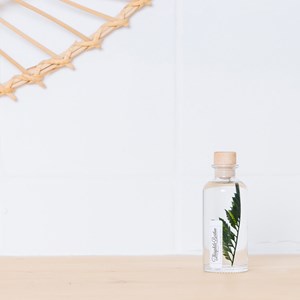 Plante immergée fougère cuir verte h12