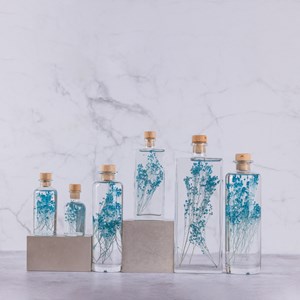 Plante immergée broom bleu turquoise h17