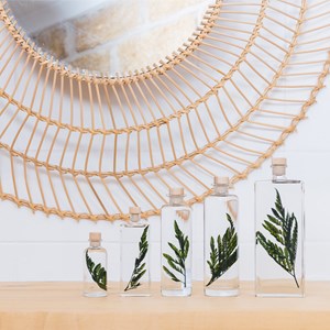 Plante immergée fougère cuir verte h12