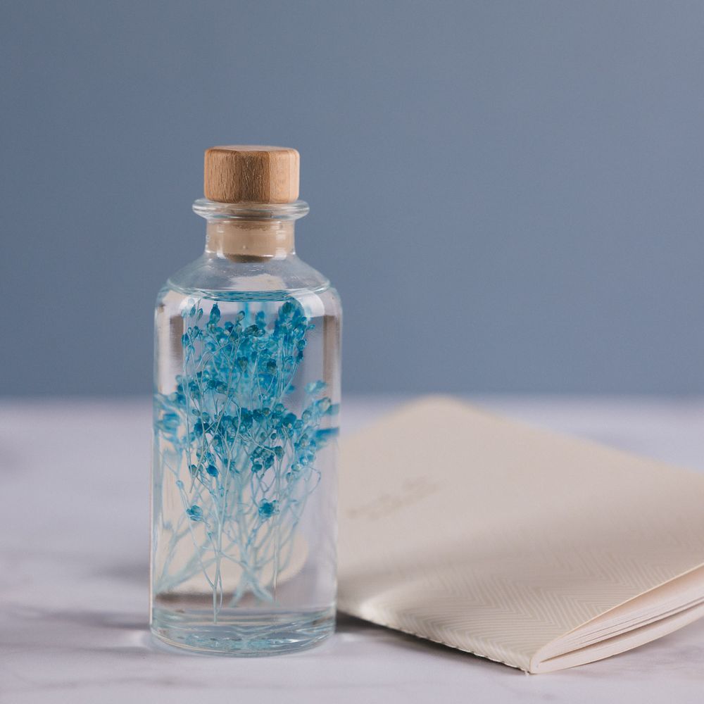 elfbar nachfüll pod läuft aus Plante immergée broom bleu turquoise h12