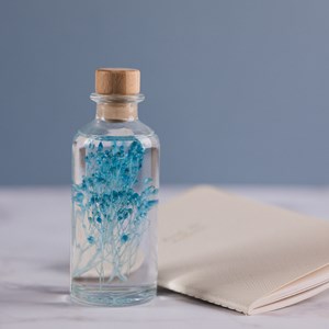 Plante immergée broom bleu turquoise h12