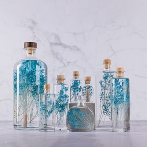 Plante immergée broom bleu turquoise h12