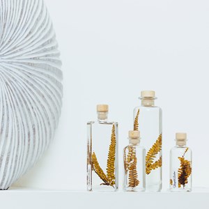 Plante immergée fougère felci ambre h17