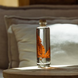 Plante immergée fougère felci rouge h21