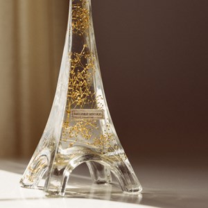 Gyspophile or immergée - la tour eiffel