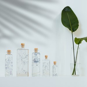 Plante immergée gypsophile bleue h23