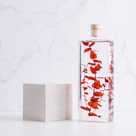 Plante immergée eucalyptus rouge h26