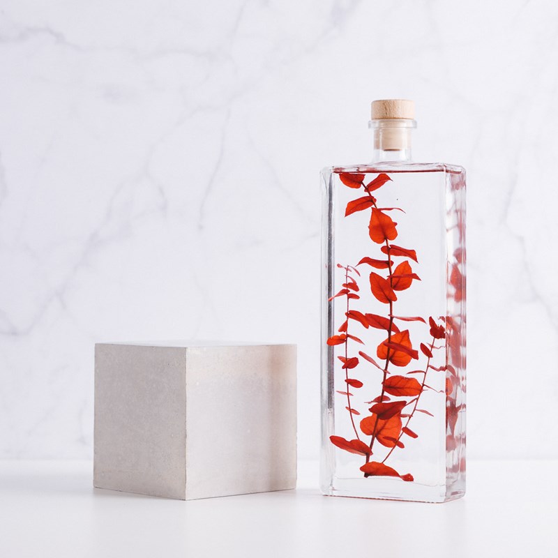 Plante immergée eucalyptus rouge h26