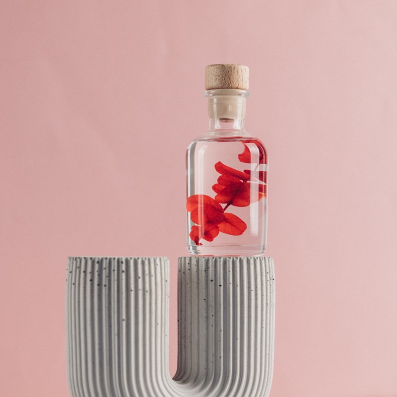 Plante immergée eucalyptus rouge h10