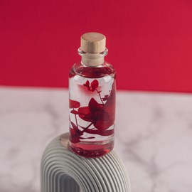 Plante immergée eucalyptus rouge h12