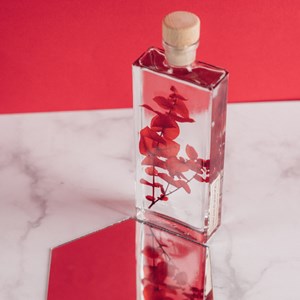 Plante immergée eucalyptus rouge h17